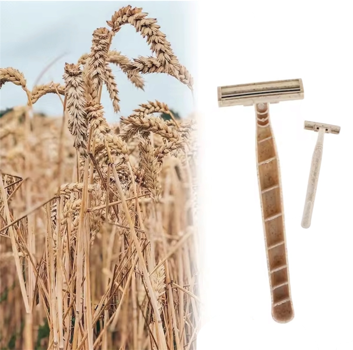 Rasoirs Biodégradables en Fibre de Blé – Image 3